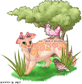 Dressed pet