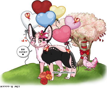 Dressed pet