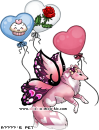 Dressed pet