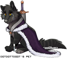 Dressed pet