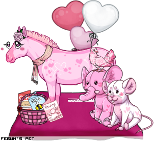 Dressed pet