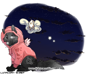 Dressed pet