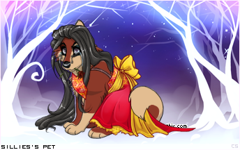 Dressed pet