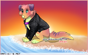 Dressed pet