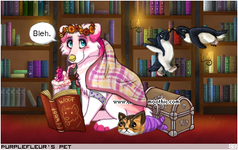 Dressed pet