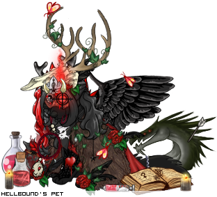 Dressed pet