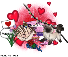 Dressed pet