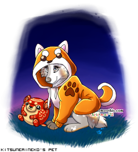 Dressed pet
