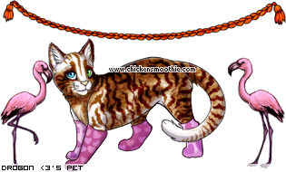 Dressed pet