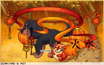 Dressed pet