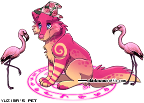 Dressed pet