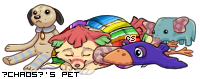 Dressed pet