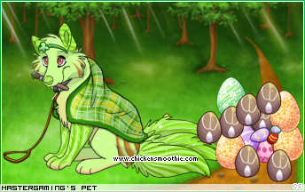 Dressed pet