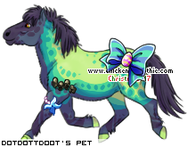 Dressed pet