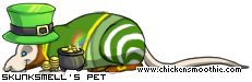 Dressed pet