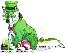 Dressed pet