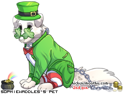 Dressed pet