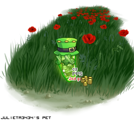 Dressed pet