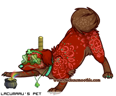 Dressed pet