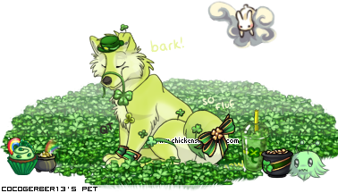 Dressed pet
