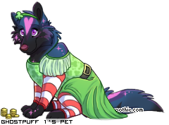 Dressed pet