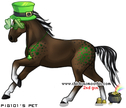 Dressed pet
