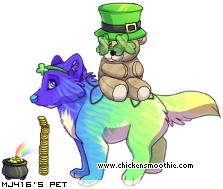 Dressed pet