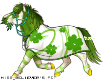 Dressed pet