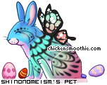 Dressed pet