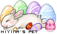 Dressed pet