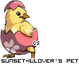 Dressed pet