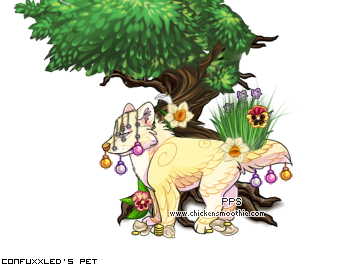Dressed pet