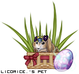 Dressed pet