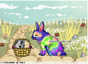 Dressed pet