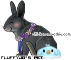 Dressed pet
