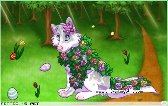Dressed pet
