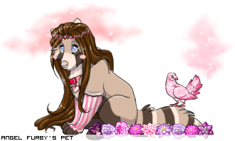 Dressed pet