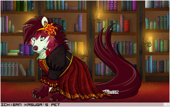Dressed pet