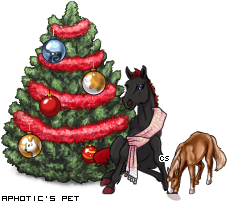 Dressed pet