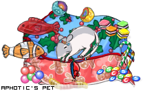 Dressed pet