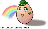 Dressed pet