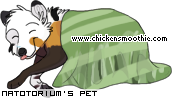 Dressed pet