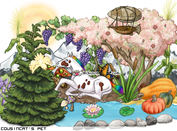 Dressed pet