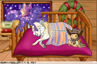 Dressed pet