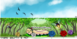Dressed pet