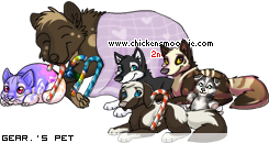 Dressed pet