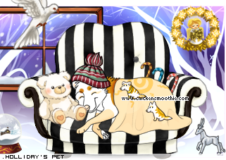 Dressed pet
