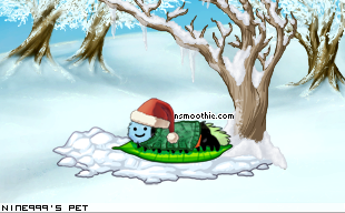 Dressed pet