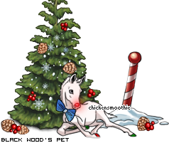 Dressed pet