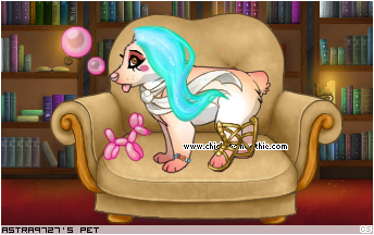 Dressed pet